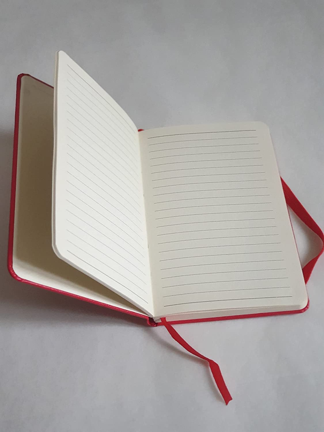 Taccuino Reggia di Colorno - Collezione Scorci di Parma - immagine 4