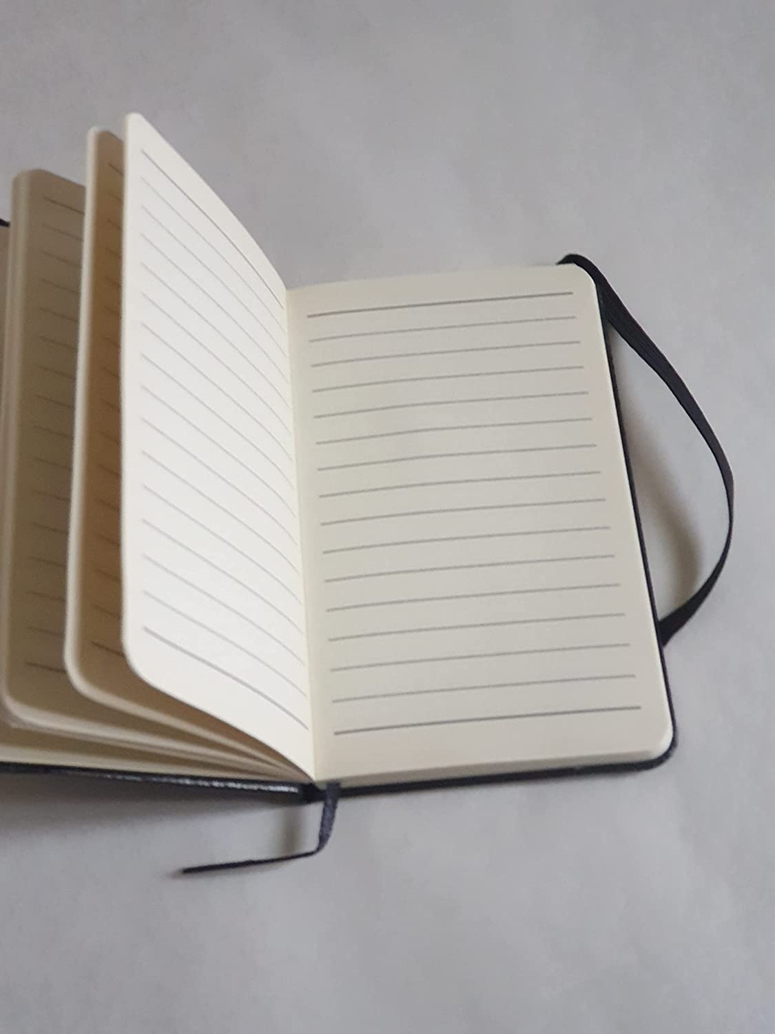 Taccuino Stemma dei Farnese - Collezione Scorci di Parma - immagine 4